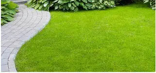 Sowparnika Rhythm of Rain